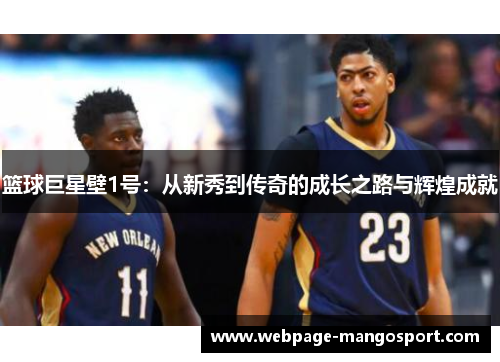 篮球巨星壁1号:从新秀到传奇的成长之路与辉煌成就