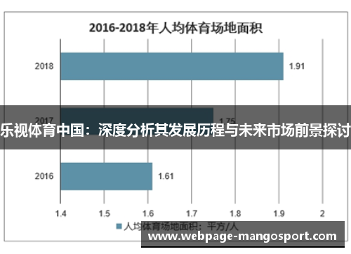 乐视体育中国:深度分析其发展历程与未来市场前景探讨