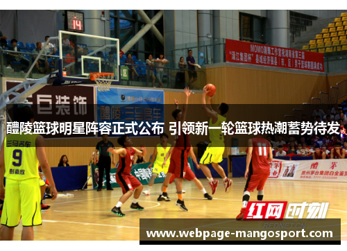 醴陵篮球明星阵容正式公布 引领新一轮篮球热潮蓄势待发