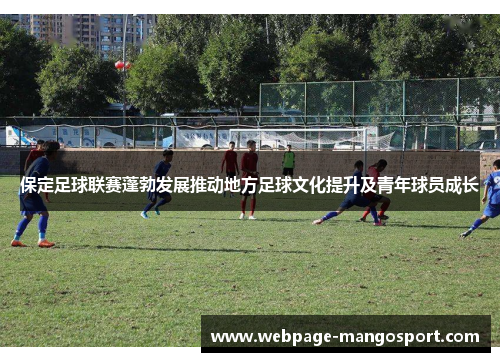 保定足球联赛蓬勃发展推动地方足球文化提升及青年球员成长